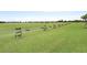 Golf driving range with a row of teeing stations and well-maintained green lawn at 4720 Arpino Ct, Bradenton, FL 34211
