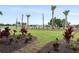 Community landscaping with manicured lawn and trees at 4720 Arpino Ct, Bradenton, FL 34211