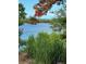 A serene water view framed by vibrant red flowers and tall green grass, creating a picturesque scene at 4811 14Th E Ave, Bradenton, FL 34208