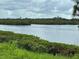 Scenic water view of a tranquil river surrounded by lush green vegetation and a cloudy sky above at 4811 14Th E Ave, Bradenton, FL 34208