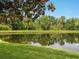 Scenic view of the tranquil pond reflecting the sky and surrounding trees at 6811 Honeysuckle Trl, Lakewood Ranch, FL 34202