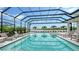 Screened-in pool with in-ground spa featuring lake and palm tree views at 8537 Pavia Way, Bradenton, FL 34202