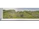Scenic view showcases lush greenery and the tranquil waters that surrounds the property at 2825 Terra Ceia Bay Blvd # 1804, Palmetto, FL 34221