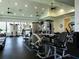 Modern gym equipped with various weight machines, treadmills, and other fitness equipment at 4949 Savona Run, Bradenton, FL 34211