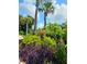 Beautiful garden featuring an array of lush plants and trees at 5207 86Th Street W Ct, Bradenton, FL 34210