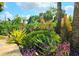 Lush, tropical landscaping defines this well maintained yard with a variety of plants and trees at 5207 86Th Street W Ct, Bradenton, FL 34210