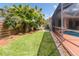 Spacious backyard featuring green grass, tropical plants, and a screened-in pool area at 866 Oak Briar Ln, Osprey, FL 34229
