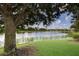Picturesque lake view from the lush backyard with mature trees at 13338 Torresina Ter, Lakewood Ranch, FL 34211