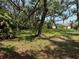 Spacious, grassy backyard dotted with mature trees offers shade and privacy at 2311 W 52Nd Ave Drive, Bradenton, FL 34207