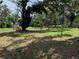Expansive backyard with mature trees and a rope swing creates a serene outdoor space at 2311 W 52Nd Ave Drive, Bradenton, FL 34207