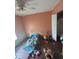 A bedroom with playful decor, ceiling fan, and a large closet at 3622 N 51St St, Tampa, FL 33619