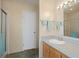 A bathroom with a vanity, sink, mirror, lighting, and shower at 3818 Chris Dr, Wesley Chapel, FL 33543