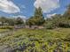 The North Port entrance features lush lily pads and natural beauty, welcoming residents and visitors at 4153 Fairway Dr, North Port, FL 34287