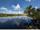 Beautiful lake reflecting cloudy skies, with lush tropical trees gracing the shoreline at 4153 Fairway Dr, North Port, FL 34287