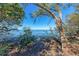 Scenic waterfront view with trees and foliage on a sunny day, showcasing the natural beauty of the coastal landscape at 4508 Mangrove Point Rd, Bradenton, FL 34210