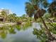 Scenic backyard pond view with lush greenery and mature trees at 4830 Estrada De Costa, Sarasota, FL 34242