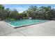 Large community pool with lap lanes surrounded by mature trees and lush landscaping at 5103 Twin Creeks Dr, Valrico, FL 33596