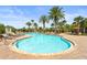 A large community pool with palm trees, lounge chairs, umbrellas, and a clear blue sky at 6306 Anise Dr, Sarasota, FL 34238