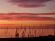 Tranquil ocean sunset silhouettes grasses and beachgoers under a vivid, colorful sky at 643 Park Cir, Bradenton, FL 34207