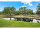 Scenic view of a pond surrounded by lush greenery and mature trees at 7025 Saddle Creek Cir, Sarasota, FL 34241