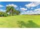 Expansive backyard with lush green grass and mature trees, perfect for outdoor activities at 8906 Stone Harbour Loop, Bradenton, FL 34212