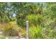 Lush conservation area featuring native plants and trees, providing a serene natural backdrop to the property at 1301 Backspin Dr, Englewood, FL 34223