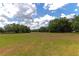 Expansive green field with scattered mature trees provides plenty of space for recreation and outdoor activities at 15440 County Road 675, Parrish, FL 34219