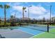 Enjoy a game of pickleball on this new, well-maintained court with lush landscaping and beautiful palm trees at 17333 Savory Mist Cir, Bradenton, FL 34211