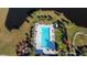 Aerial shot of rectangular community pool with lounge chairs and a cabana surrounded by palm trees at 3218 Big Sky Way, Bradenton, FL 34211