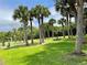 Beautiful community park with lush green grass, tall palm trees, and a picnic area with a table at 3418 79Th Street W Cir # 202, Bradenton, FL 34209