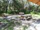 A picnic table and benches are arranged in a scenic outdoor area with trees providing shade and creating a peaceful environment at 3734 Ballantrae Dr # 19D, Sarasota, FL 34238