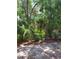 View of the property's densely wooded backyard area, a haven for nature enthusiasts at 4835 Winslow Beacon # 46, Sarasota, FL 34235