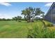 Expansive backyard view showcasing mature oak trees and lush greenery, offering serene privacy and views at 4931 Benito Ct, Bradenton, FL 34211