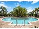 Gorgeous pool area featuring clear blue water, lush palm trees, and comfortable lounge chairs for relaxation at 5328 Brookgrove Dr, Sarasota, FL 34238