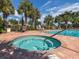 Community hot tub with lounge chairs and palm trees, perfect for relaxation and leisure at 673 Crane Prairie Way, Osprey, FL 34229