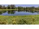 Scenic view of a calm pond surrounded by lush greenery and trees, reflecting the sky on a sunny day at 673 Crane Prairie Way, Osprey, FL 34229
