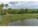 Scenic golf course view featuring lush green fairways, swaying palm trees, and a tranquil pond at 7005 River Hammock Dr # 303, Bradenton, FL 34212
