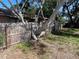 A backyard fence with a mature tree growing alongside it at 8075 48Th N Ave, St Petersburg, FL 33709