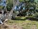 View of the backyard featuring mature trees offering plenty of shade at 8075 48Th N Ave, St Petersburg, FL 33709