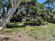 A backyard with mature trees at 8075 48Th N Ave, St Petersburg, FL 33709