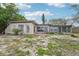 Shows the back of the home, overgrown grass, boarded windows and concrete patio at 9300 Gulf Blvd, St Pete Beach, FL 33706