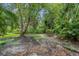 Expansive backyard featuring mature trees, lush landscaping, and a peaceful setting at 4637 Willow Wood Cir # 44, Sarasota, FL 34241