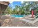 Community swimming pool with lounge chairs, umbrellas, and lush landscaping under a blue sky at 4637 Willow Wood Cir # 44, Sarasota, FL 34241