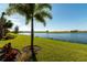 Picturesque backyard with lush green grass, tranquil lake, and swaying palm trees on a sunny day at 5604 Palmer Cir # 103, Bradenton, FL 34211