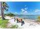 Relaxing beach scene with a bench, palm trees, and serene water views, ideal for peaceful moments at 681 Fox St, Longboat Key, FL 34228
