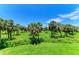 Backyard with palm trees and green grass and a bright blue sky at 7820 34Th W Ave # 102, Bradenton, FL 34209