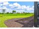 Beautifully landscaped backyard with lush green grass, views, and a screened patio area at 9040 Tequila Sunrise Dr, Sarasota, FL 34241