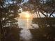 A tranquil water view framed by lush mangrove trees at sunset, providing a private natural waterfront experience at 1500 Sunset Rd # B4, Tarpon Springs, FL 34689