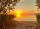 Serene waterfront view with lush greenery in the foreground and a stunning sunset on the water at 1500 Sunset Rd # B4, Tarpon Springs, FL 34689