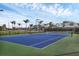 A community tennis court with blue and green surface sits in front of some palm trees on a sunny day at 15344 Serene Shores Loop, Bradenton, FL 34211